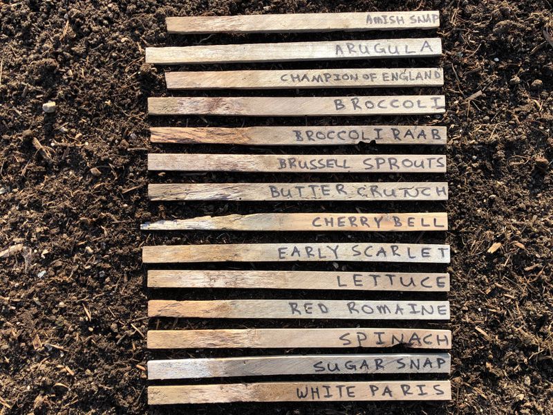 Cherry Pit Garden Markers