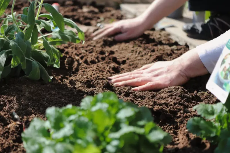 garden soil