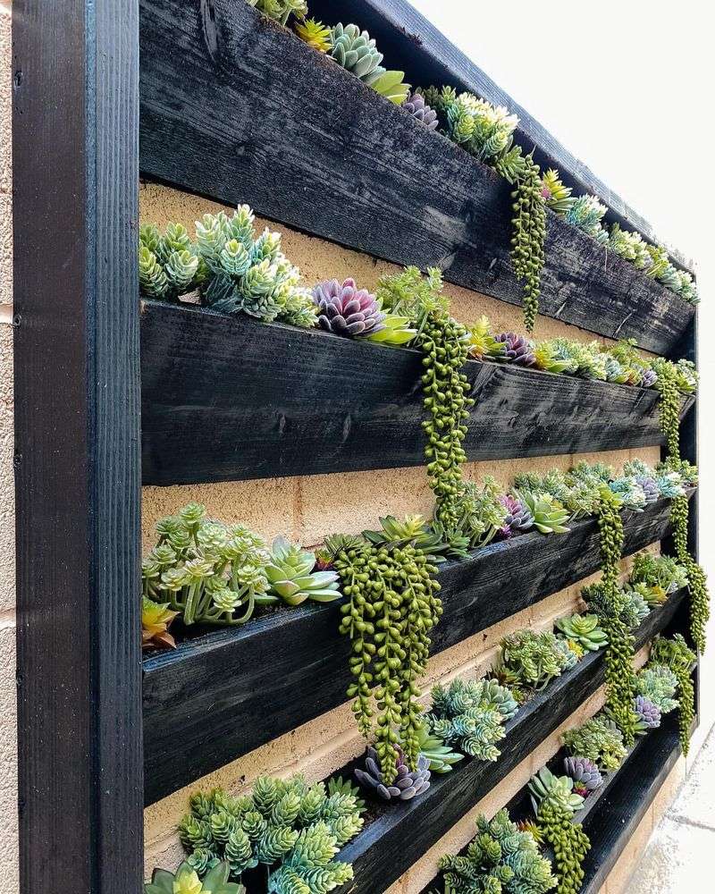 Cinder Block Plant Walls