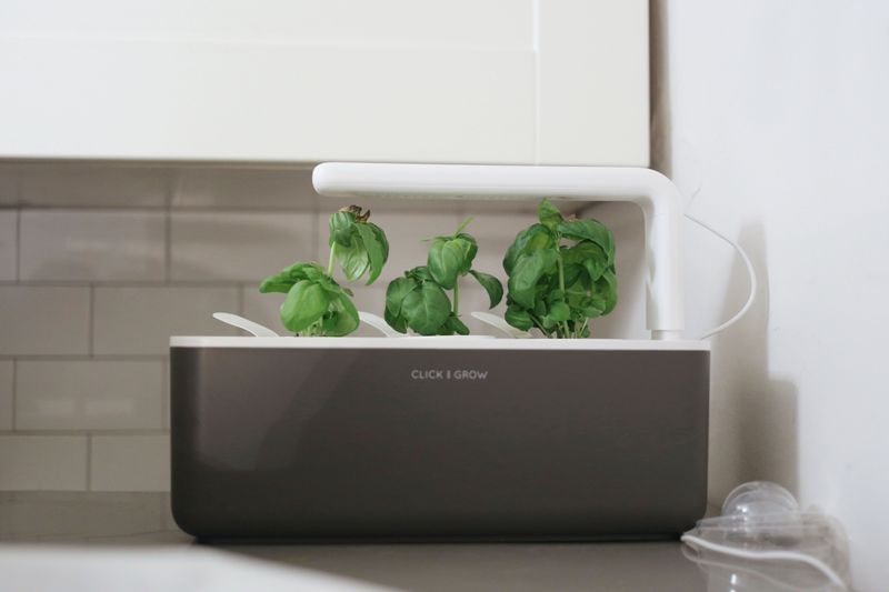 Click & Grow Smart Garden 3