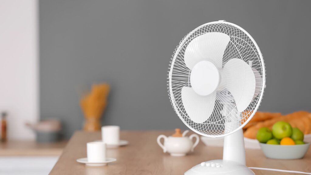 Fan