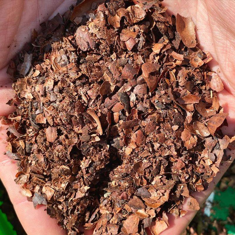 Cocoa Hull Mulch