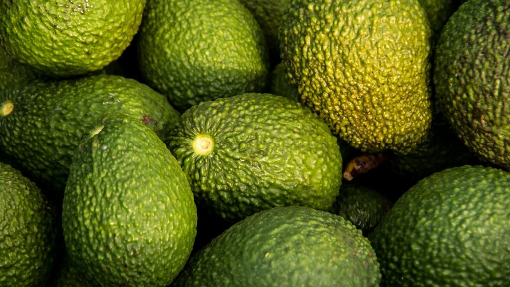 avocados