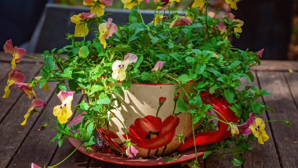 Flowers In A Teacup
