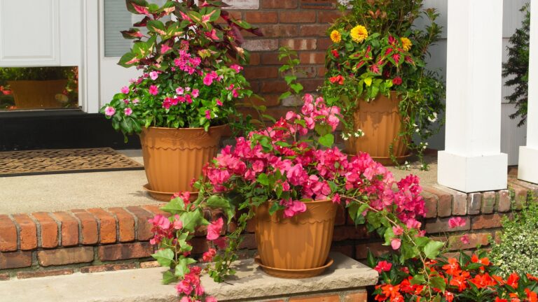 front porch potted flower garden