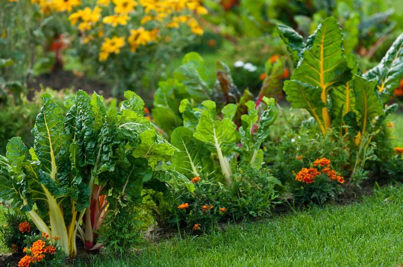 Companion Planting