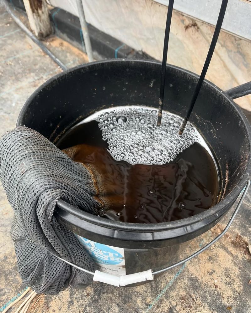 Compost Tea