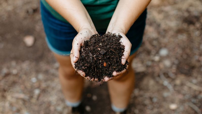 Composting Boost