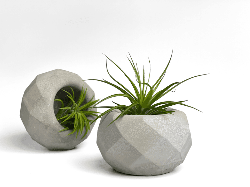 Concrete Geometric Planter