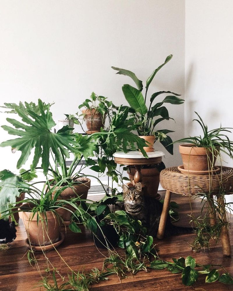 Consider Plant Grouping