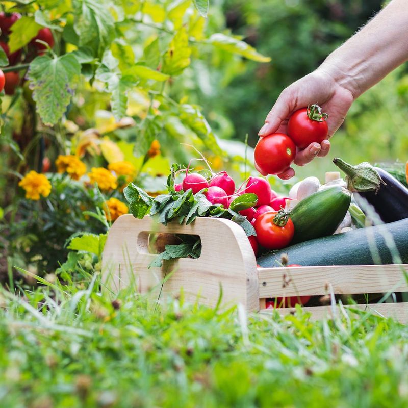 Continuous Harvesting