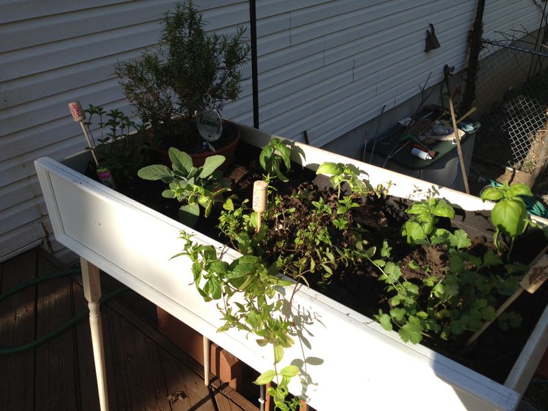 Converted Dresser Planter