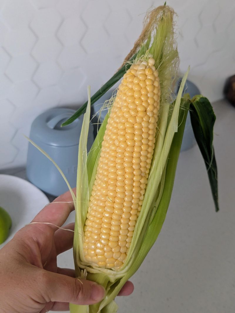 Corn