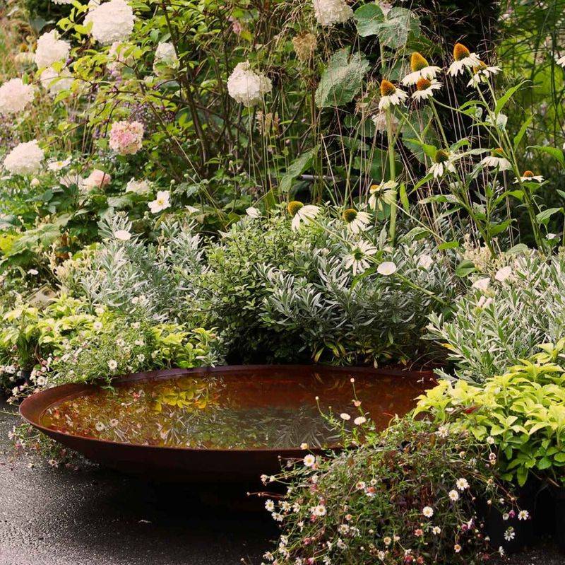 Corten Steel Water Bowls