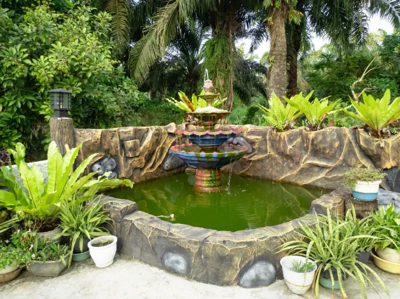 Feng Shui Sanctuary