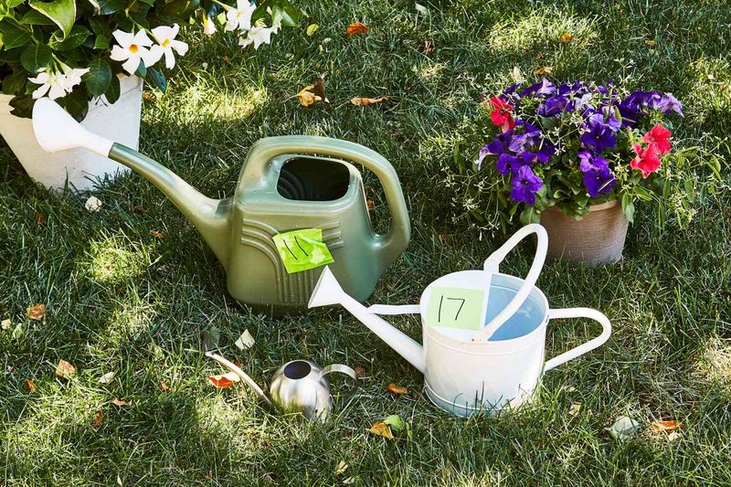 Watering Cans With Precision Nozzles