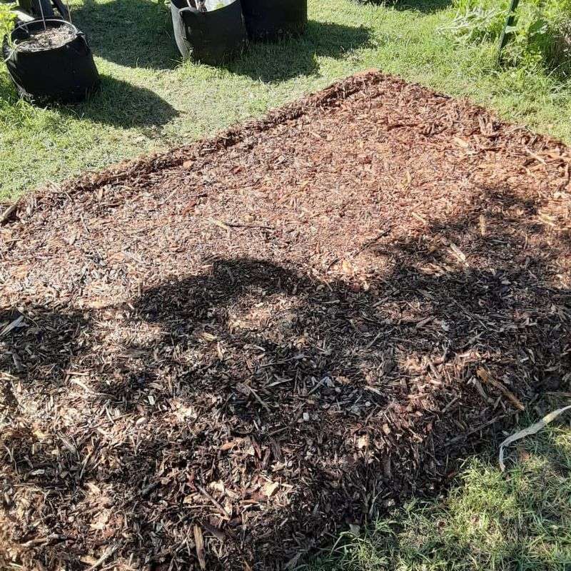 Create Protective Mulch