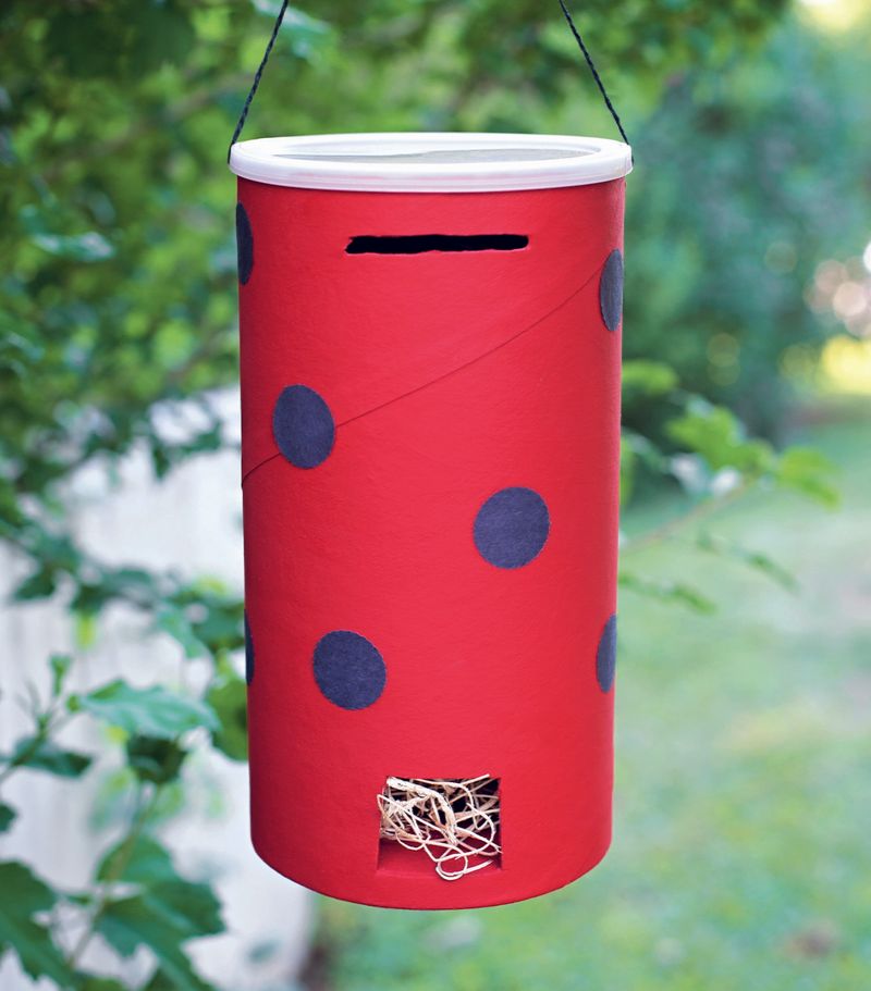 Create a Ladybug House