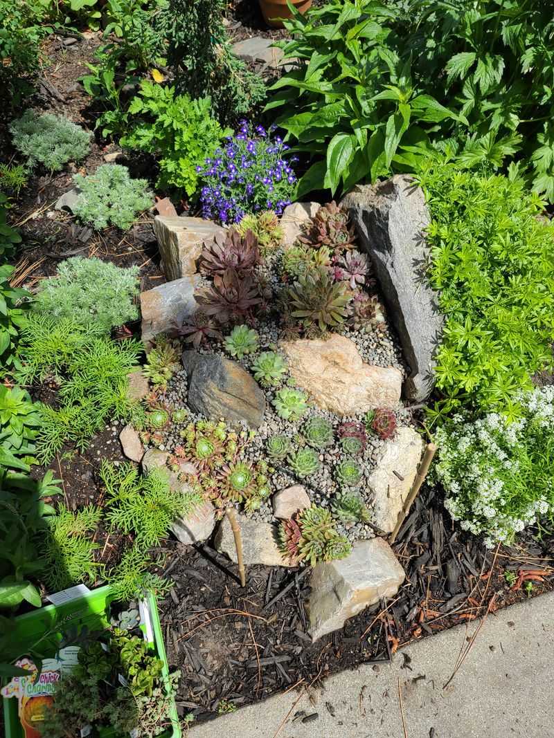 Create a Rock Garden