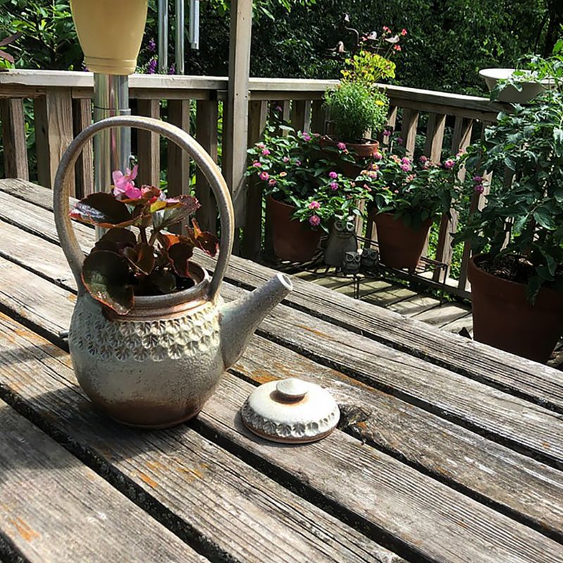 Creative Watering Can Planters