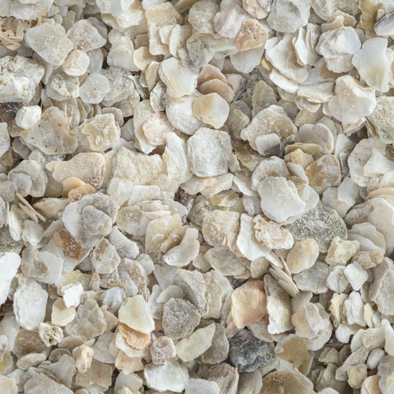 Crushed Shells