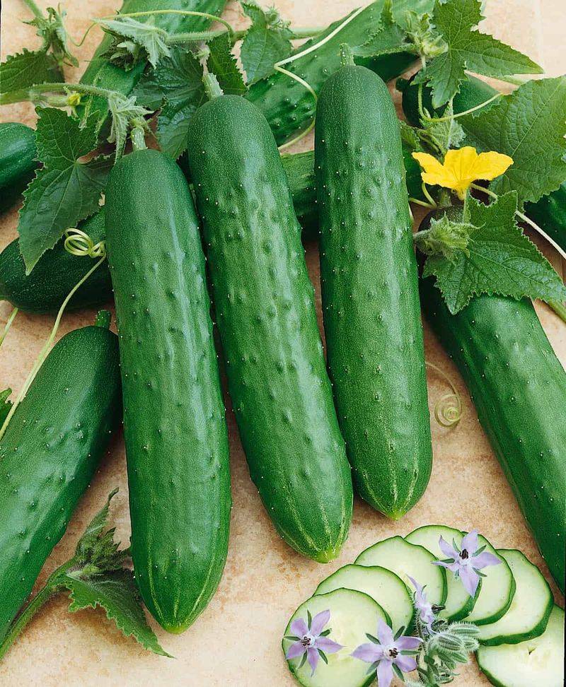 Cucumbers