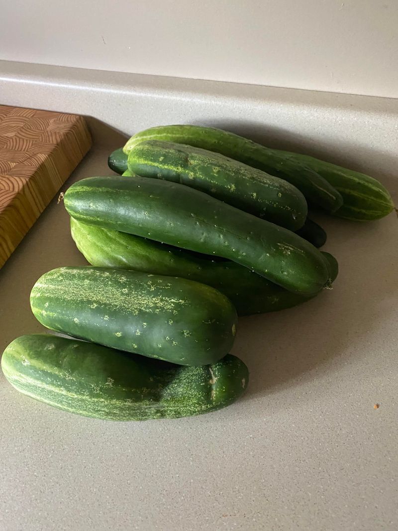 Cucumbers