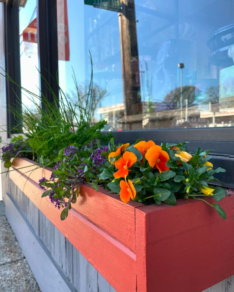 Culinary Window Box