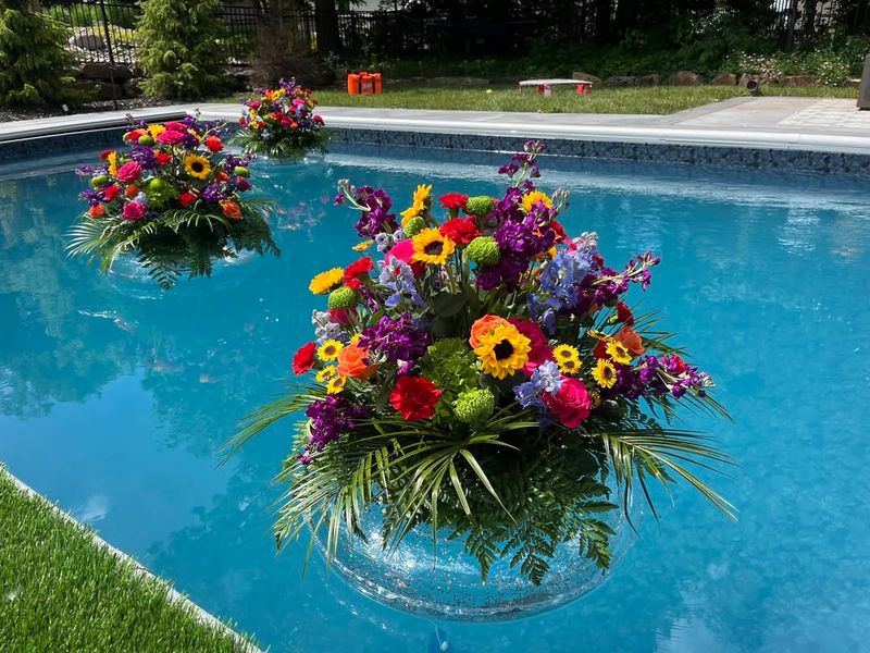 Floating Pool Plants