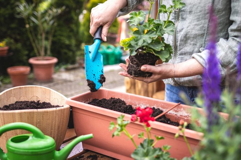 DIY Fertilizers