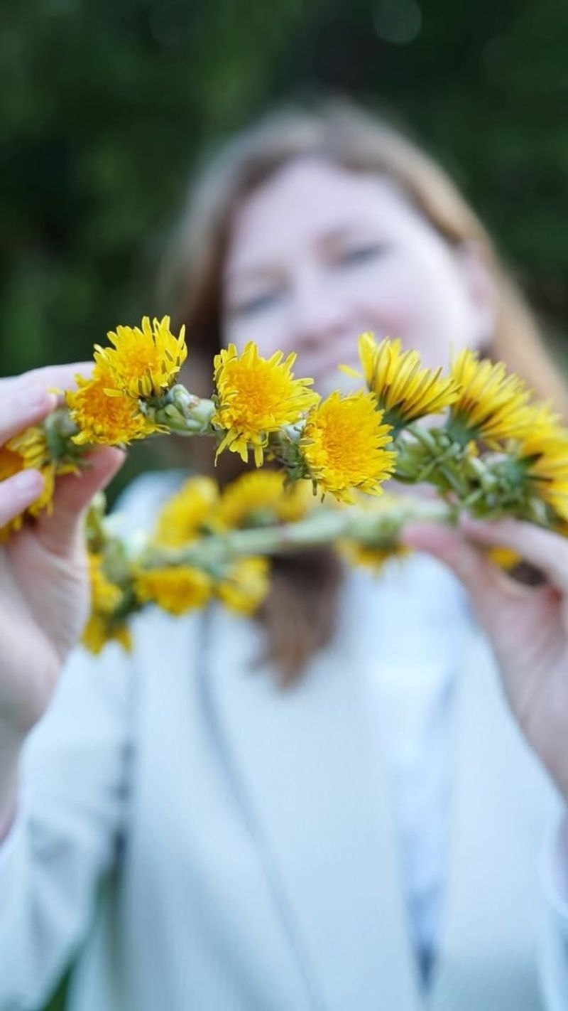 Dandelion Flower Crown