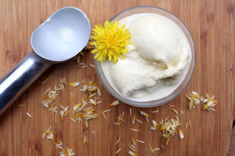 Dandelion Ice Cream Treat