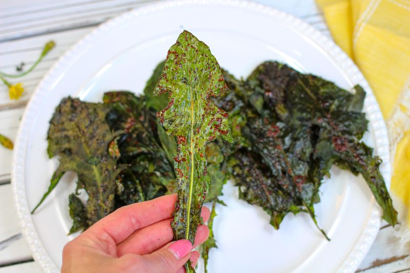 Dandelion Leaf Chips