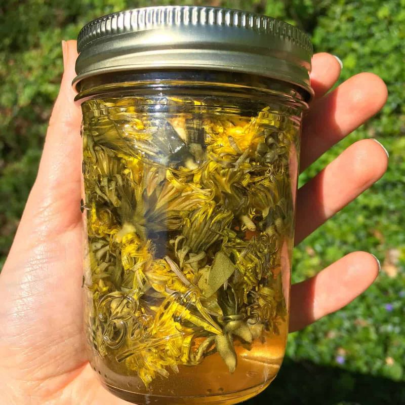 Dandelion Vinegar Infusion