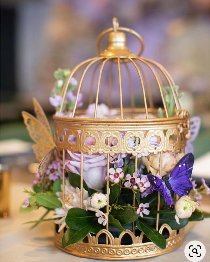 Decorative Bird Cages