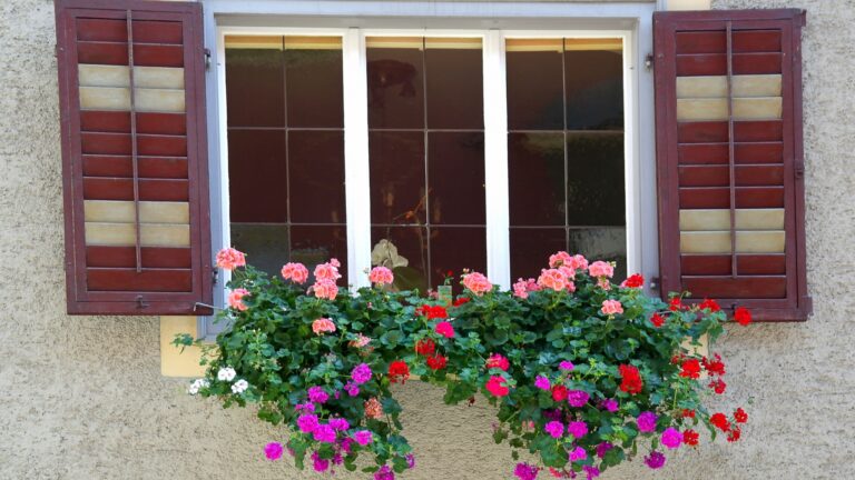 window box bloom display