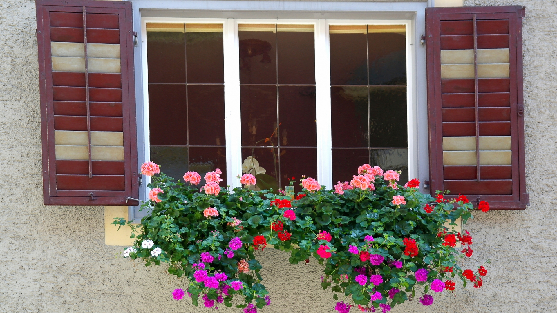 Design A Miniature Garden For Hummingbirds With These Stunning Window Box Flowers