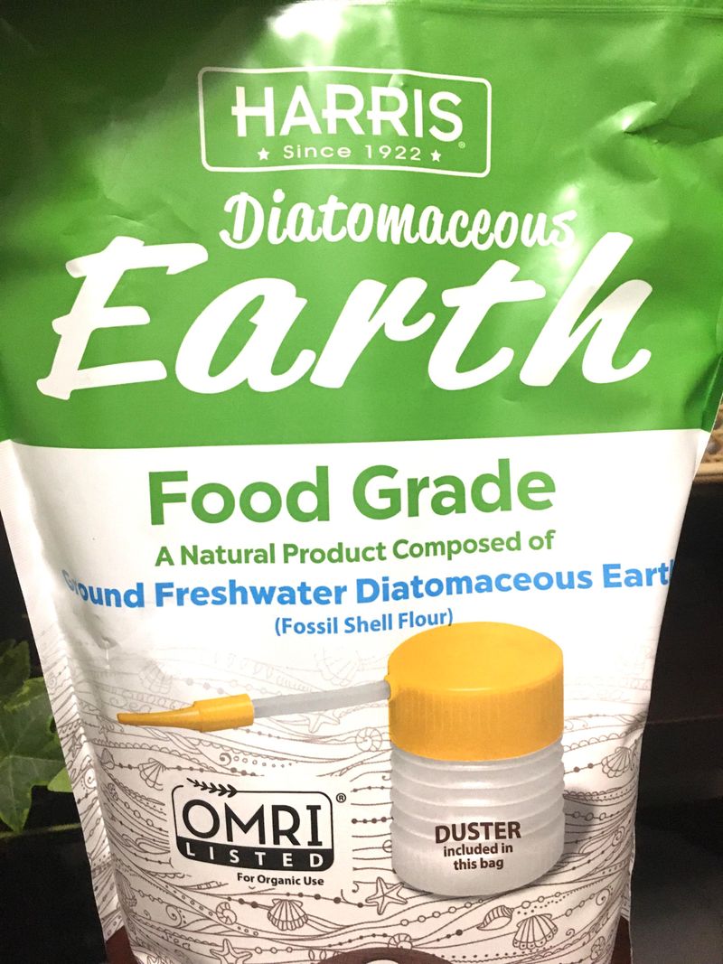 Diatomaceous Earth