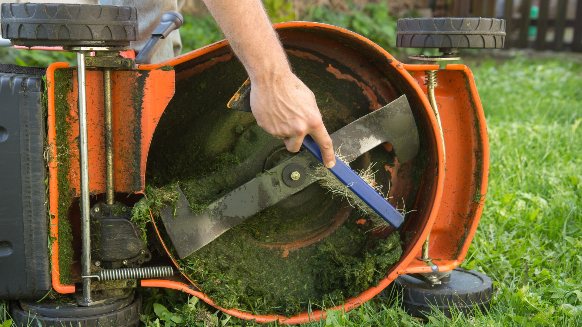 lawn mower maintenance