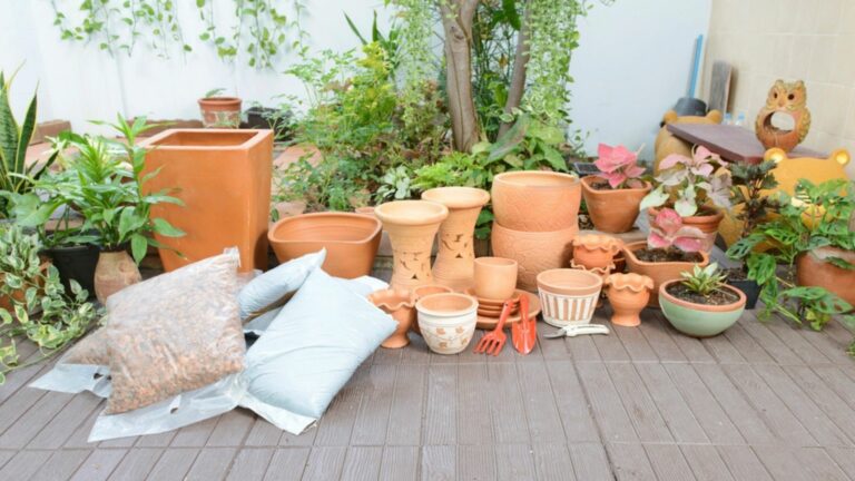 empty pots and other stuff in garden