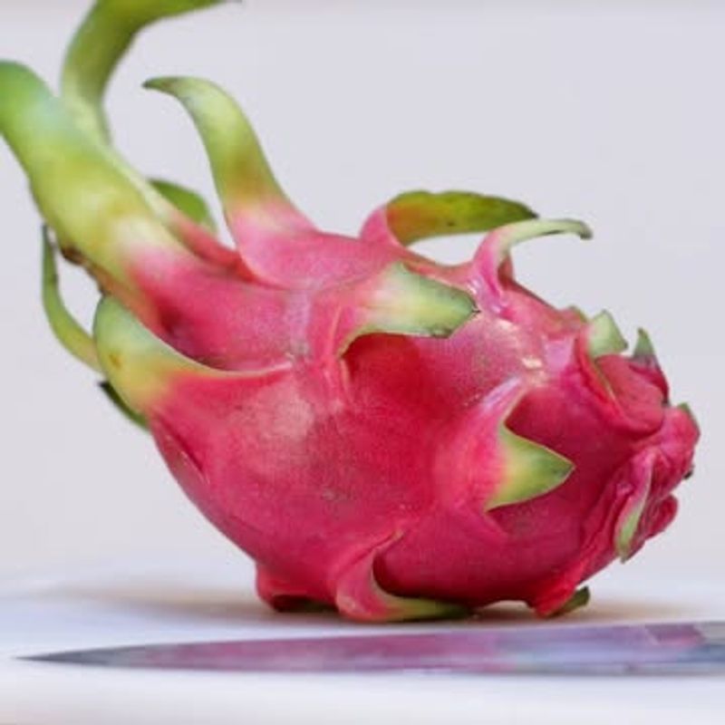 Dragon Fruit