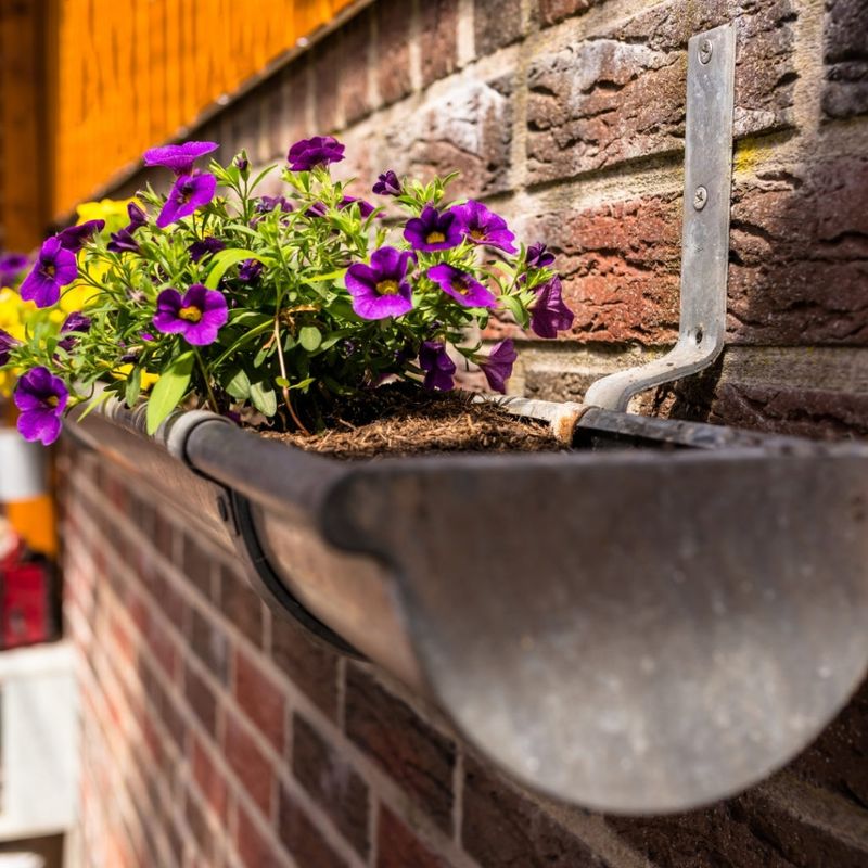 Gutter Gardens