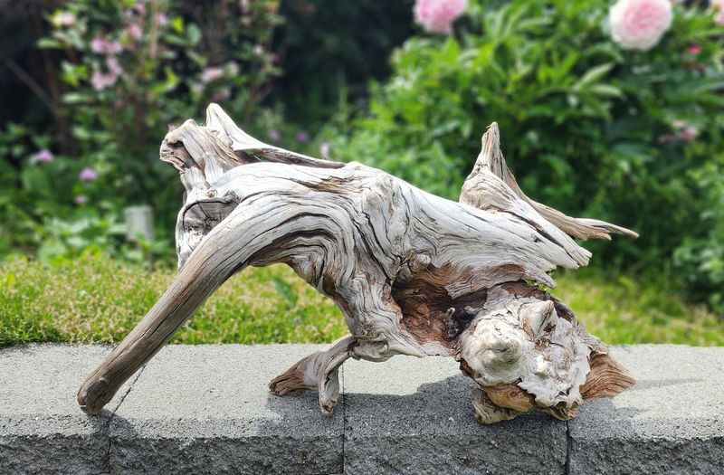 Driftwood Sculptures