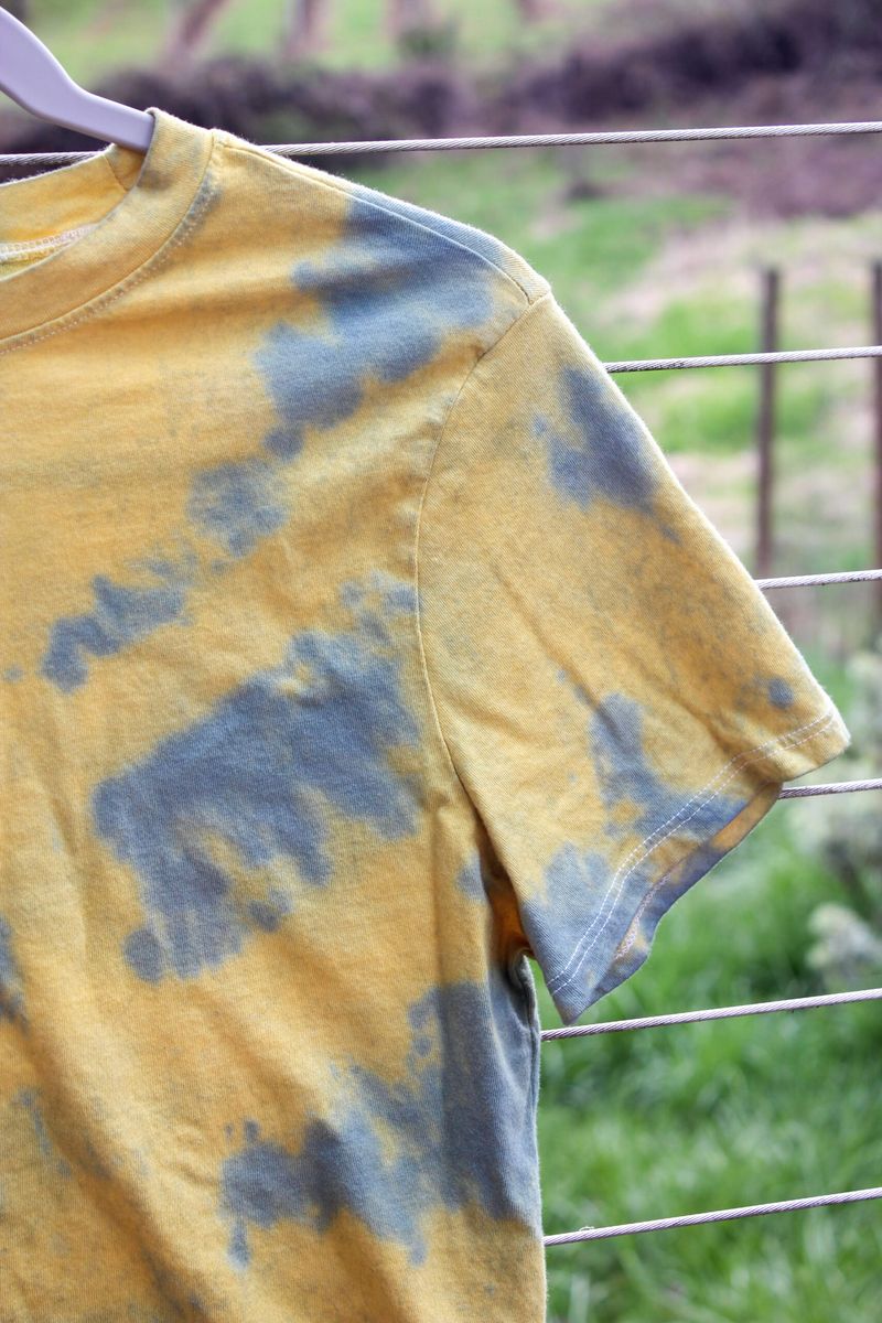 Dye Fabric Naturally