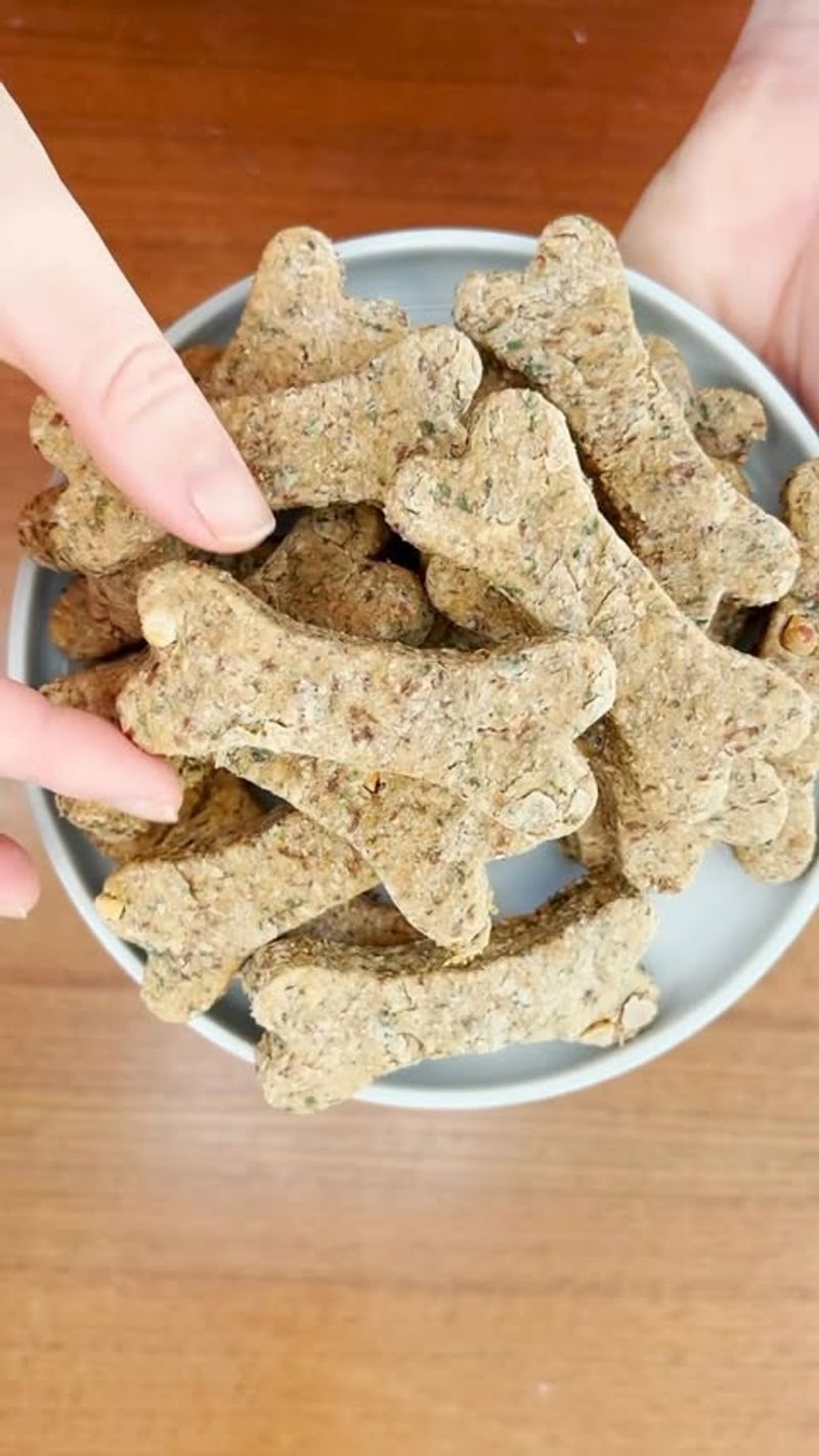 Eco-Friendly Pet Treats