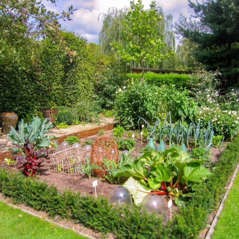 Edible Borders