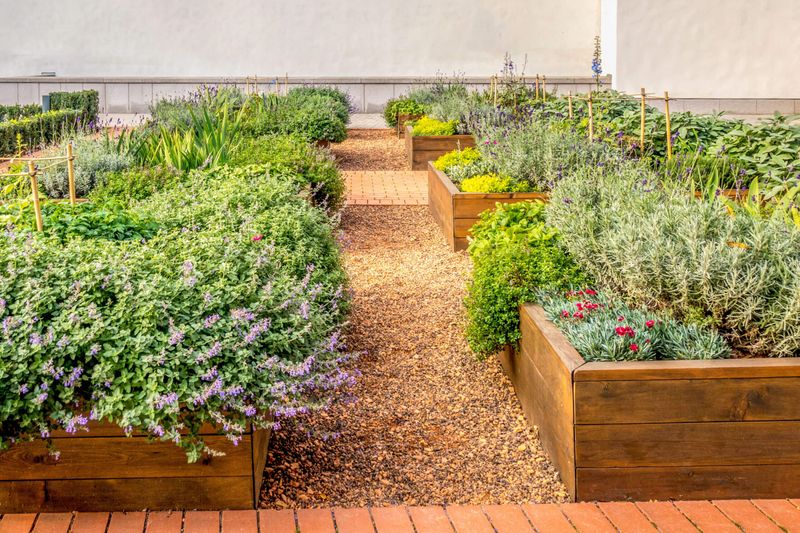 Edible Flower Beds