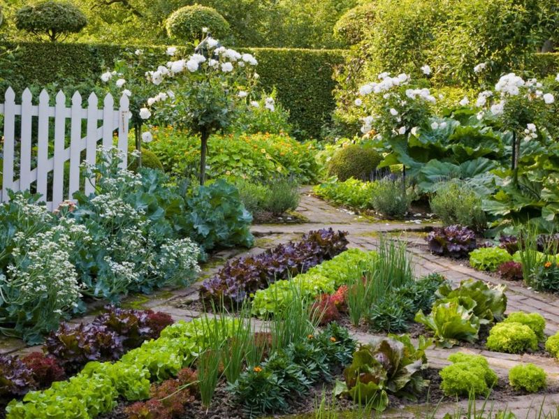 Edible Landscaping: A Tasty Secret