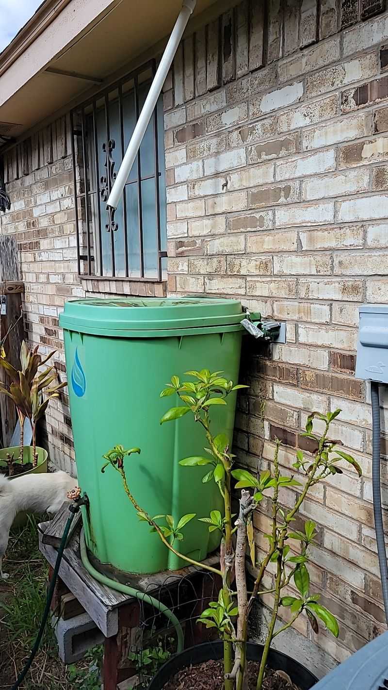 Greywater Recycling