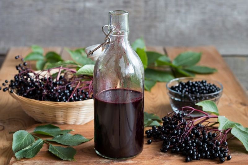 Elderberry